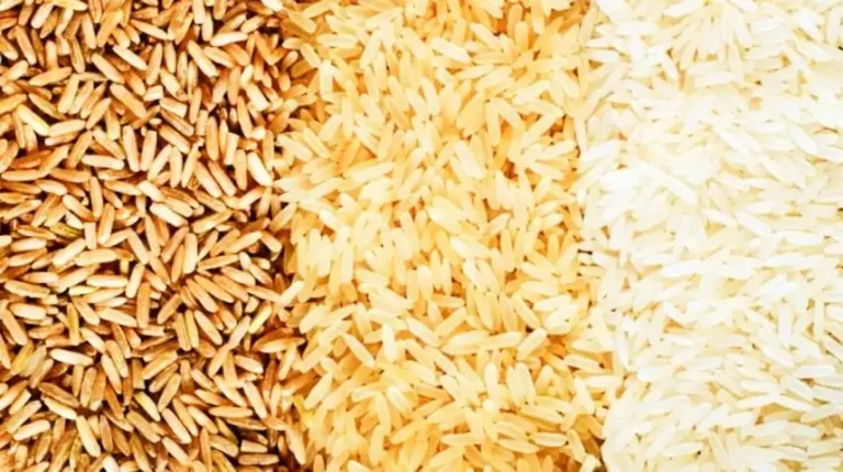 Rice-app1630959368-0 not found