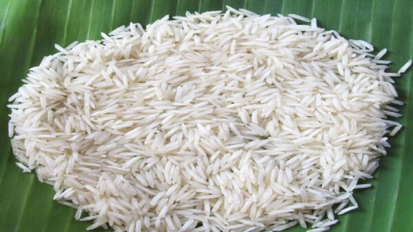 1121 Steamed Rice